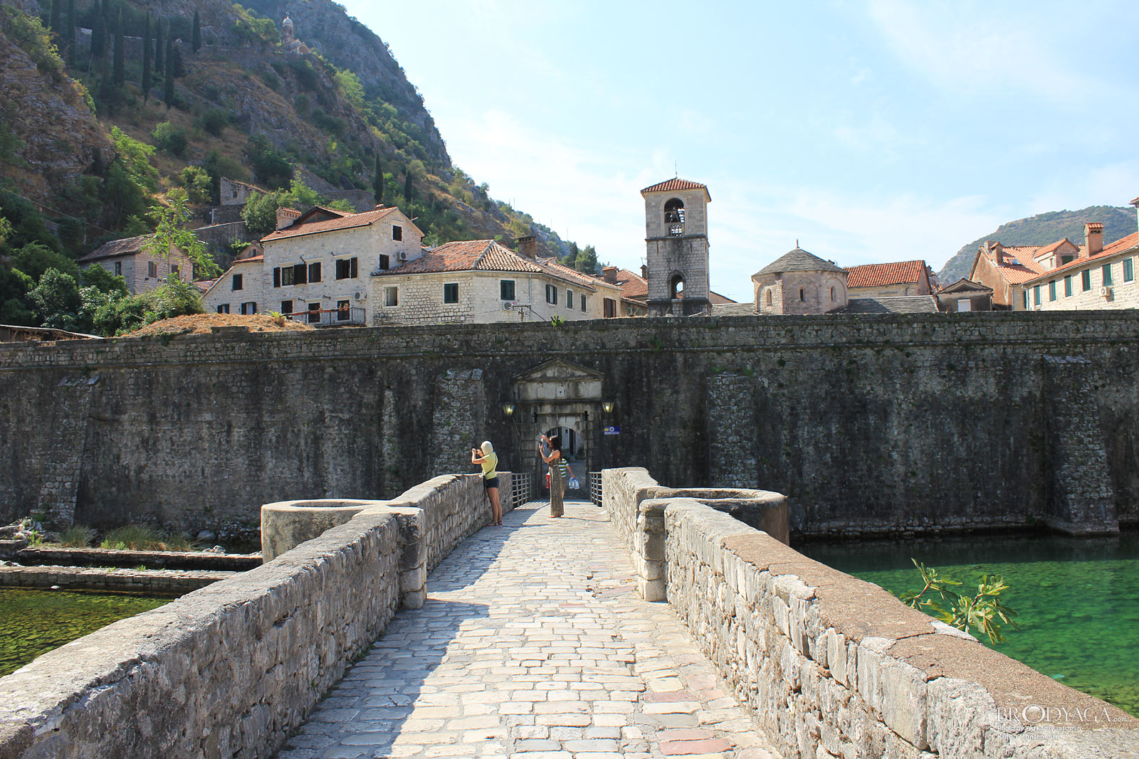 Kotor